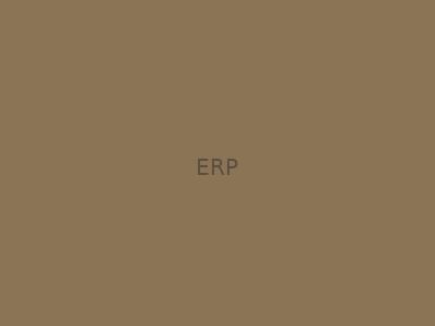 ERP 系统服务商网站