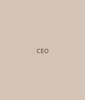创始人兼 CEO